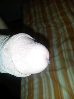 Cazzone sempre lui maggio 2019