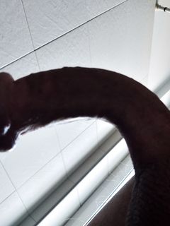 La mia cappella Parte 6