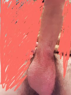 ECCOLO PER VOI TROIE