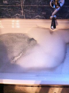 Cazzo arrapato dalla mia amica porcellina