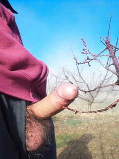 Porcellino esibizionista