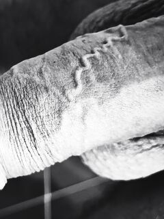 un po' di pisello e di palle