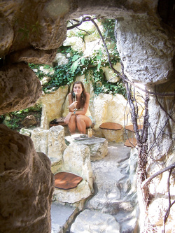 Foto di una porca di Miami