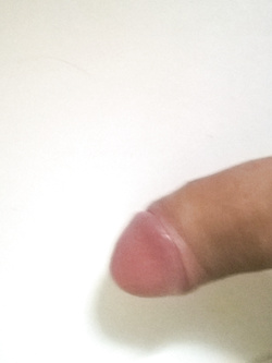 semplicemente il mio bastone