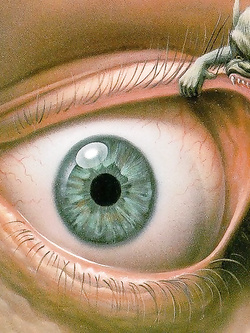 SALERNOTRASGRESSIVA-LINGERIE SERIE INFERNALE GIRONE LUSSURIA.