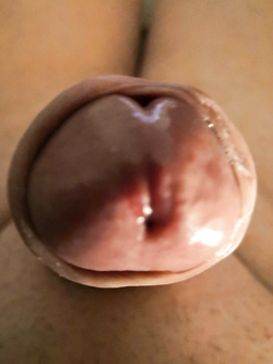 Quando penso a cosa vorrei fare