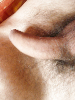 Piacere Francesco Parte 2