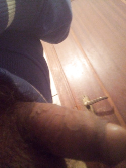 Il mio uccello a riposo