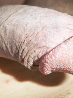 Mostro tutto depilato estate settembrina