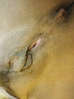 Fica  pronta all'uso...