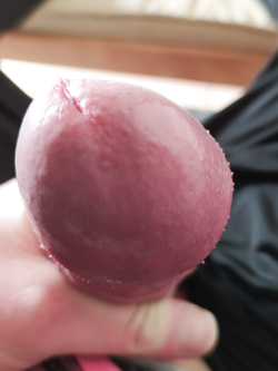 Ecco il cazzone del mio porco !!!!