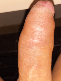 Il mio uccello Parte 11