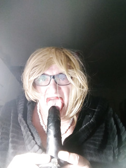 PANORAMICA DA TROIA...