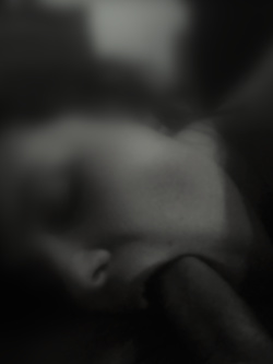 Troiette Da Svezzare