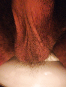 Il mio cazzo Parte 1