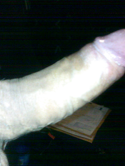 qualcuna interessata?