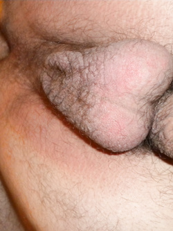 La mia cagna da monta...