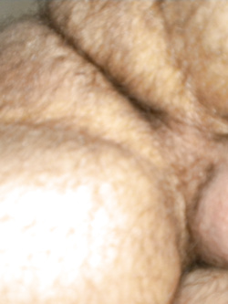 La mia cagna da monta...