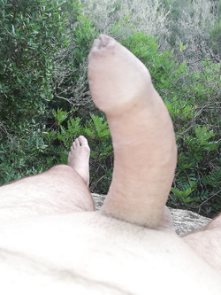 Il mio uccello rasato