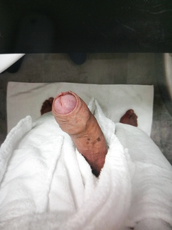 Miei scatti personali