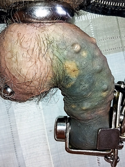 cazzo pene chiuso a chiave in castità