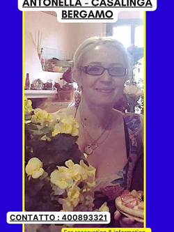 ESIBIZIONI DI PORCHE QUALUNQUE