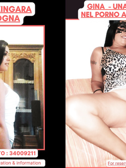 ESIBIZIONI DI PORCHE QUALUNQUE