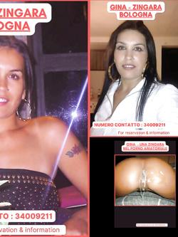 ESIBIZIONI DI PORCHE QUALUNQUE