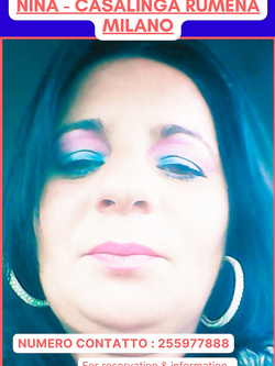 ESIBIZIONI DI PORCHE QUALUNQUE