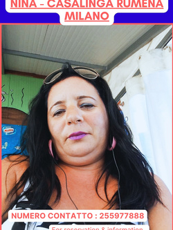 ESIBIZIONI DI PORCHE QUALUNQUE