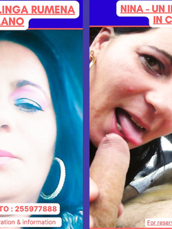 ESIBIZIONI DI PORCHE QUALUNQUE