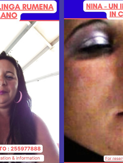 ESIBIZIONI DI PORCHE QUALUNQUE