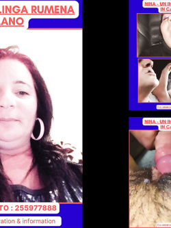 ESIBIZIONI DI PORCHE QUALUNQUE