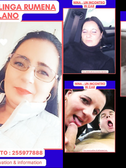 ESIBIZIONI DI PORCHE QUALUNQUE