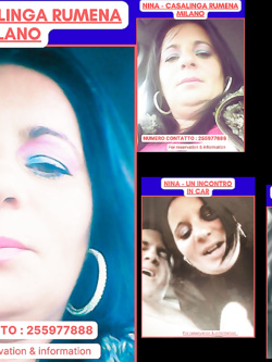 ESIBIZIONI DI PORCHE QUALUNQUE