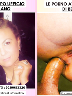 ESIBIZIONI DI PORCHE QUALUNQUE