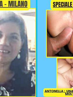 ESIBIZIONI DI PORCHE QUALUNQUE