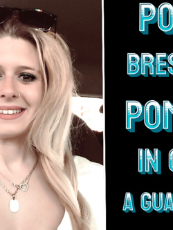 PORCHE DI TUTTI I GIORNI