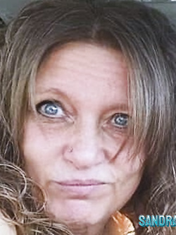 PORCHE DI TUTTI I GIORNI