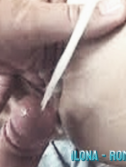 PORCHE DI TUTTI I GIORNI