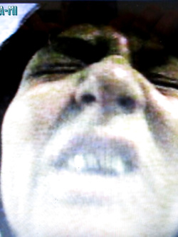 PORCHE DI TUTTI I GIORNI