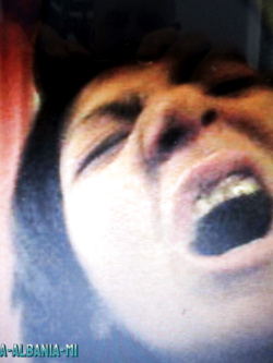 PORCHE DI TUTTI I GIORNI