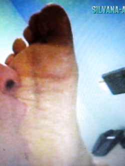 PORCHE DI TUTTI I GIORNI