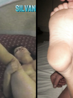 PORCHE DI TUTTI I GIORNI