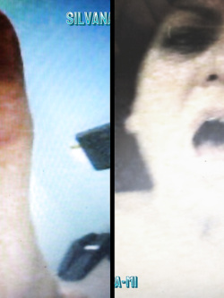 PORCHE DI TUTTI I GIORNI