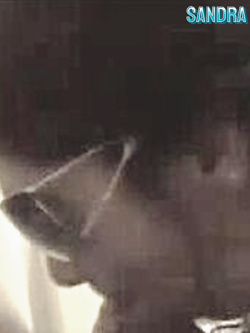 PORCHE DI TUTTI I GIORNI