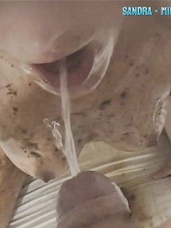 PORCHE DI TUTTI I GIORNI