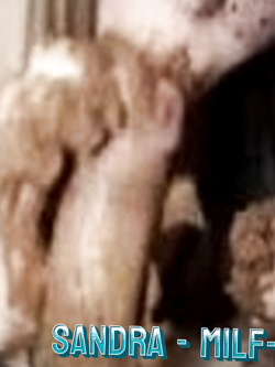 PORCHE DI TUTTI I GIORNI