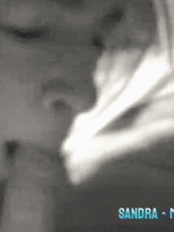 PORCHE DI TUTTI I GIORNI