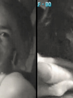 PORCHE DI TUTTI I GIORNI